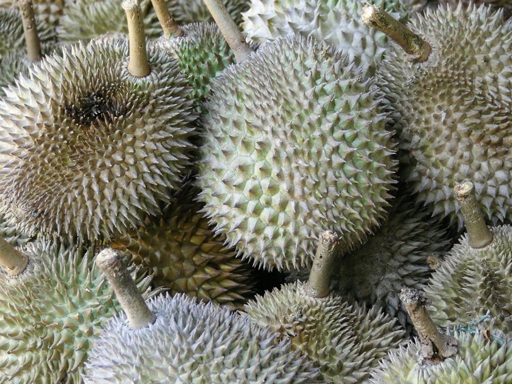 002   Duriany, Malezja